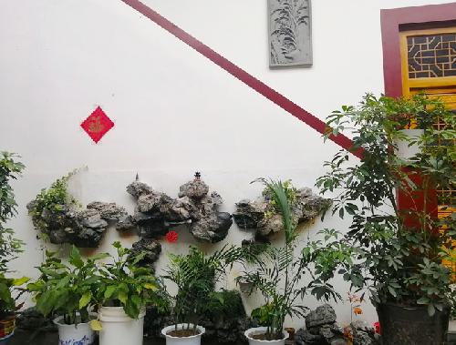 民宿内部绿植景观一角